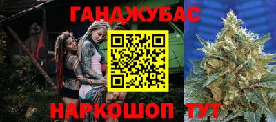 индика Гусиноозёрск