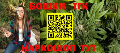 индика Гусиноозёрск