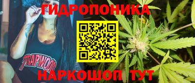 индика Гусиноозёрск