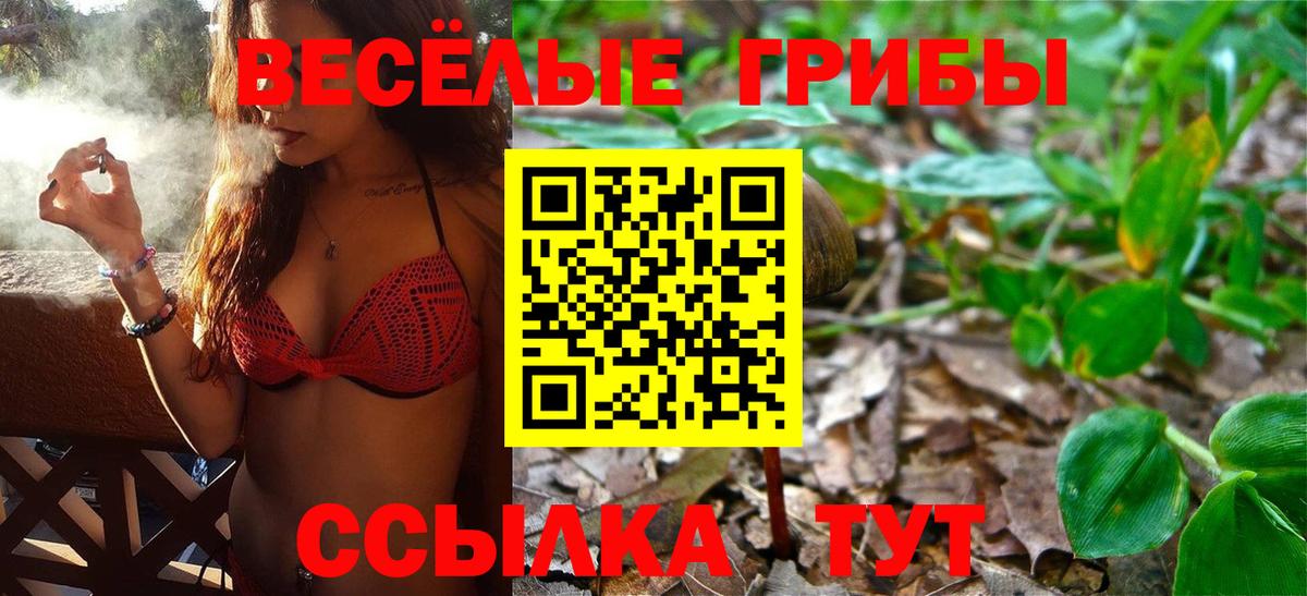 Галлюциногенные грибы мицелий Назрань