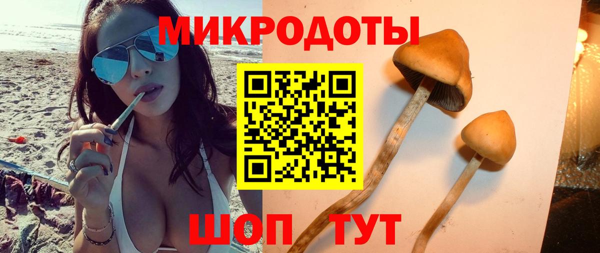 Галлюциногенные грибы мухоморы  Галлюциногенные грибы Psilocybe  Назрань  Вход с VPN 